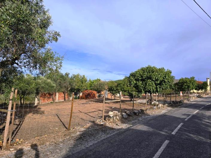 Image No.37-Terre à vendre à Figueiró dos Vinhos