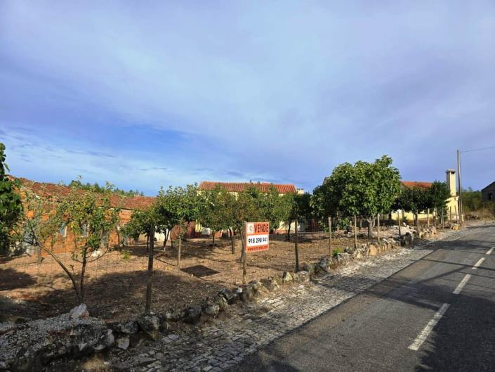 Image No.38-Terre à vendre à Figueiró dos Vinhos
