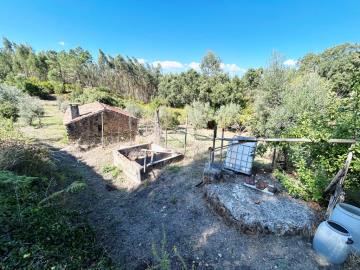 1-5----1355--Medium-