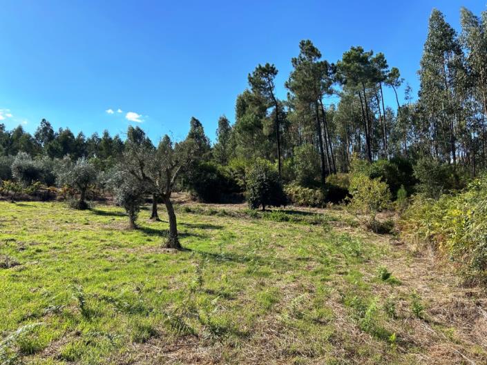 Image No.21-Land for sale