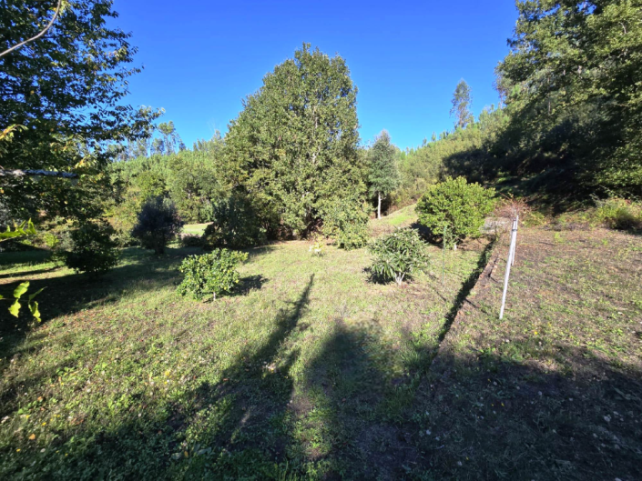 Image No.34-Ferme de 1 chambre à vendre à Pedrógão Grande