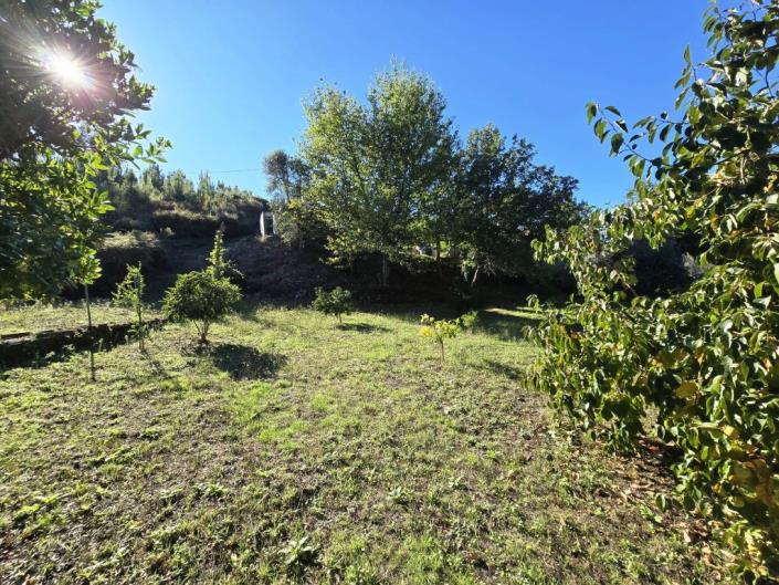Image No.36-Ferme de 1 chambre à vendre à Pedrógão Grande