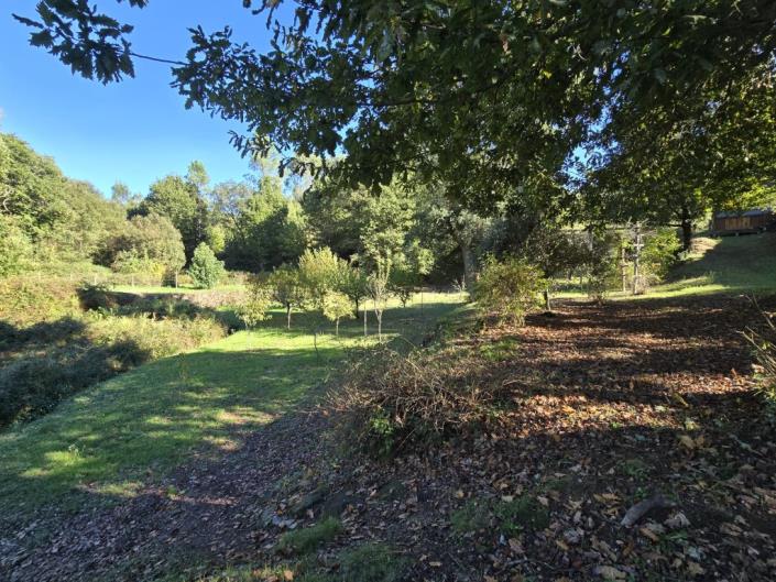 Image No.42-Ferme de 1 chambre à vendre à Pedrógão Grande