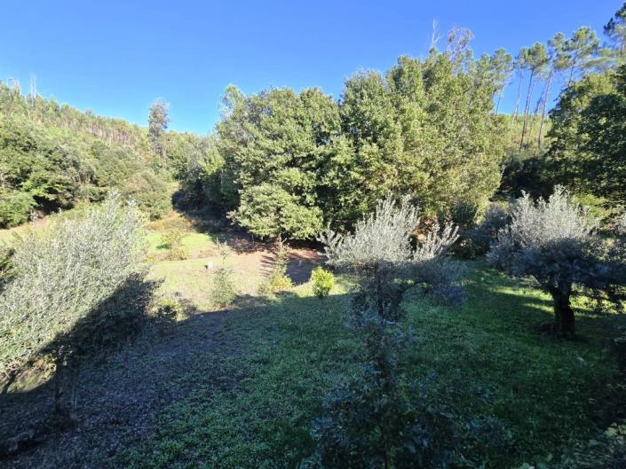 Image No.46-Ferme de 1 chambre à vendre à Pedrógão Grande