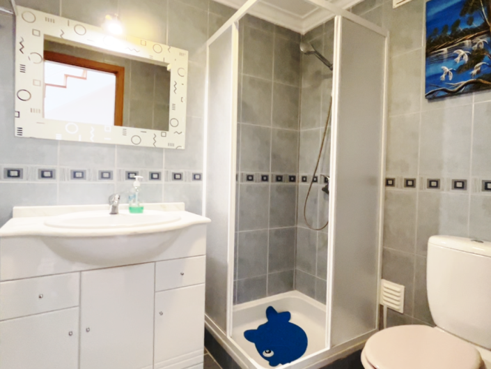 Image No.37-Maison de ville de 4 chambres à vendre à Pedrógão Grande