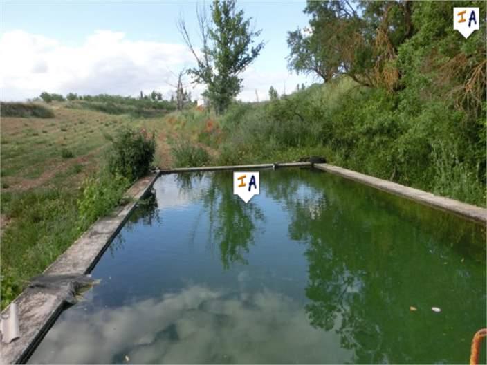 Image No.11-Ferme de 4 chambres à vendre à Mures