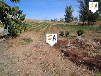 Image No.8-Ferme de 4 chambres à vendre à Mures