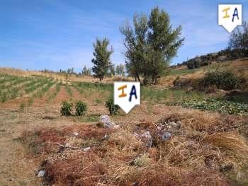 Image No.9-Ferme de 4 chambres à vendre à Mures