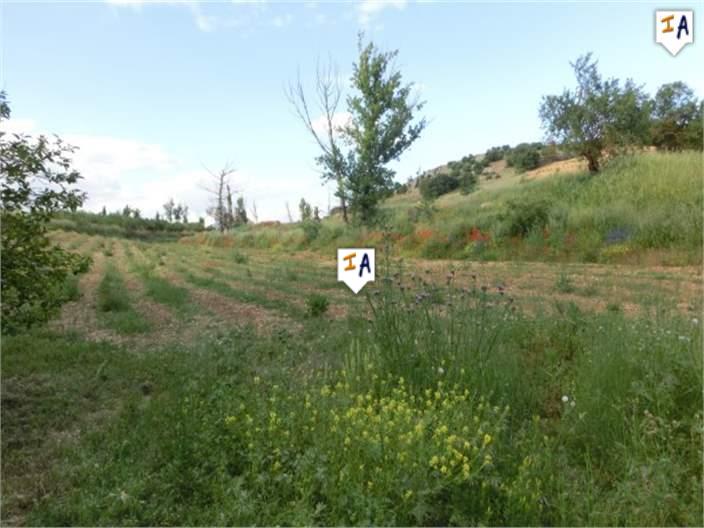 Image No.10-Ferme de 4 chambres à vendre à Mures