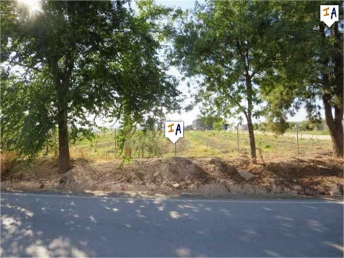 Image No.4-Maison de 1 chambre à vendre à Isla Redonda