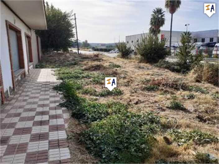 Image No.6-Commercial de 5 chambres à vendre à Lucena