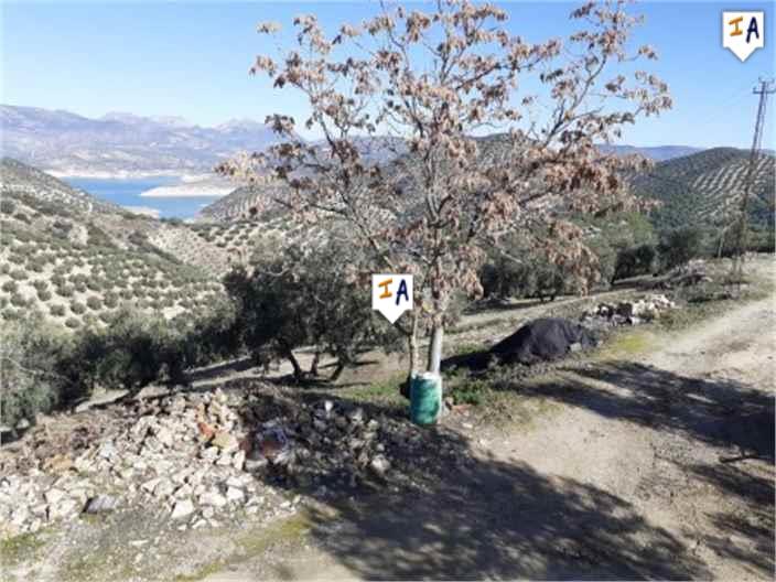 Image No.7-Ferme de 5 chambres à vendre à Iznájar