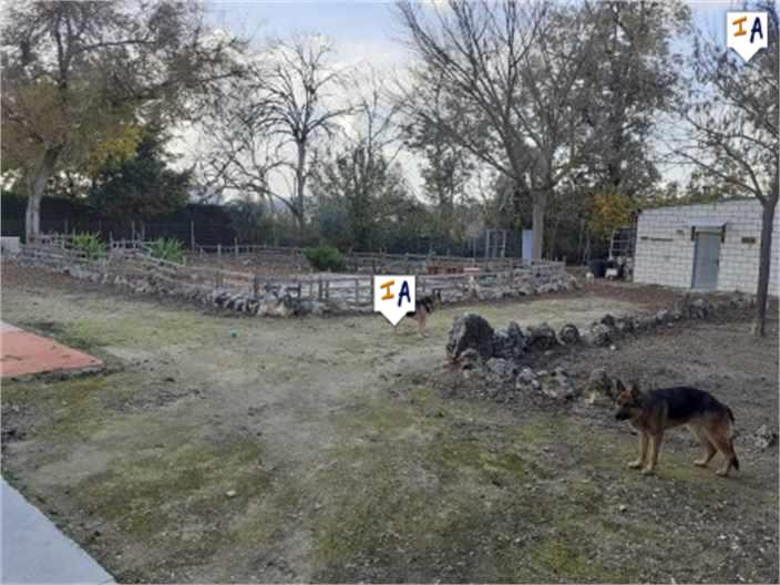 Image No.11-Maison de 5 chambres à vendre à Lucena