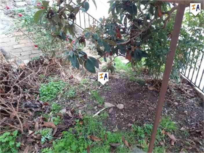 Image No.8-4 Bed House for sale