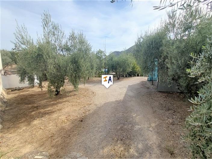 Image No.3-5 Bed House for sale