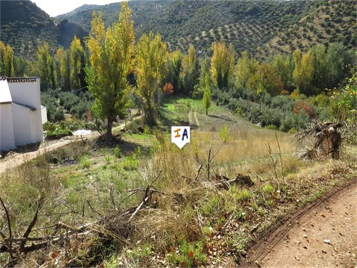 Image No.4-5 Bed Farmhouse for sale