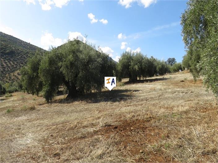 Image No.8-5 Bed Farmhouse for sale