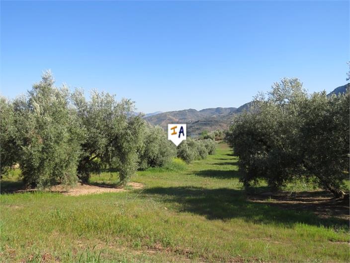 Image No.10-Terre à vendre à Las Casillas