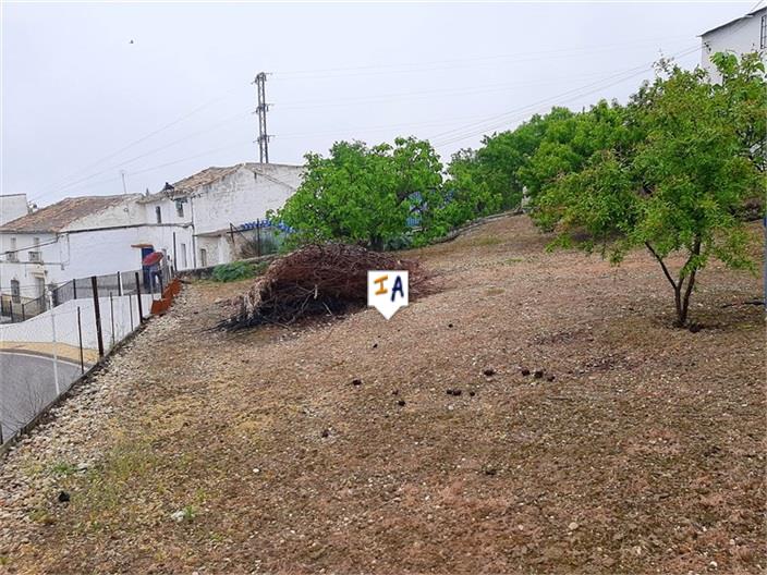 Image No.4-Maison de 3 chambres à vendre à Fuente-Tójar