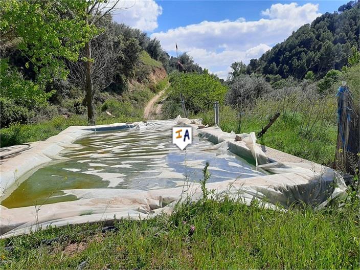 Image No.3-Terre à vendre à Montefrío