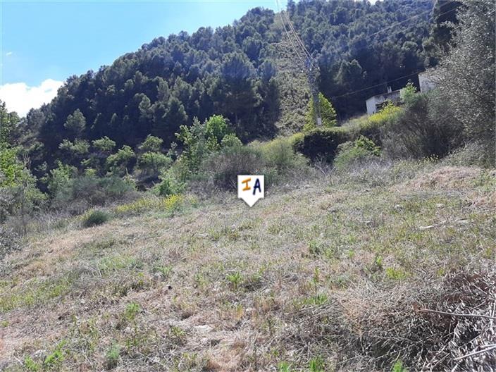 Image No.5-Terre à vendre à Montefrío