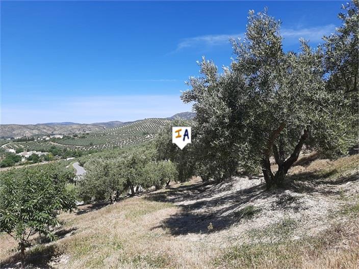 Image No.5-Ferme à vendre à Frailes