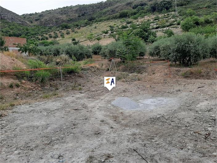 Image No.6-Terre à vendre à Castillo de Locubín