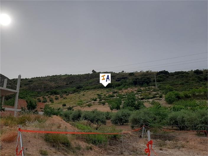 Image No.8-Terre à vendre à Castillo de Locubín