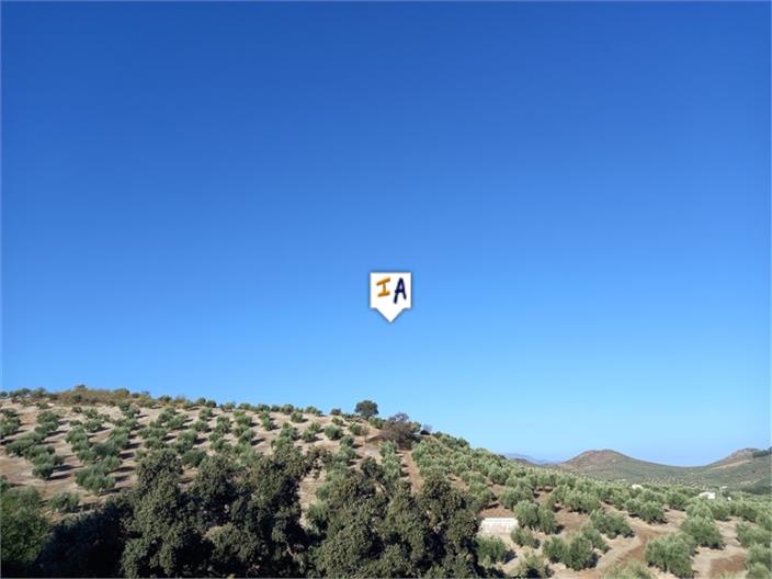 Image No.11-Maison de 5 chambres à vendre à Sabariego