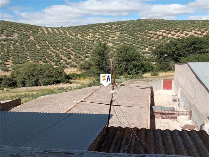 Image No.11-Maison de 5 chambres à vendre à Benalúa de las Villas