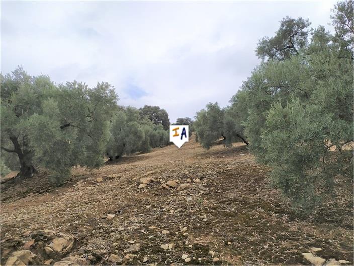 Image No.3-1 Bed Farmhouse for sale