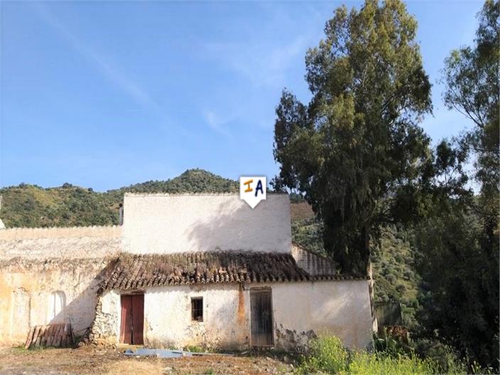 Image No.6-Terre à vendre à Comares