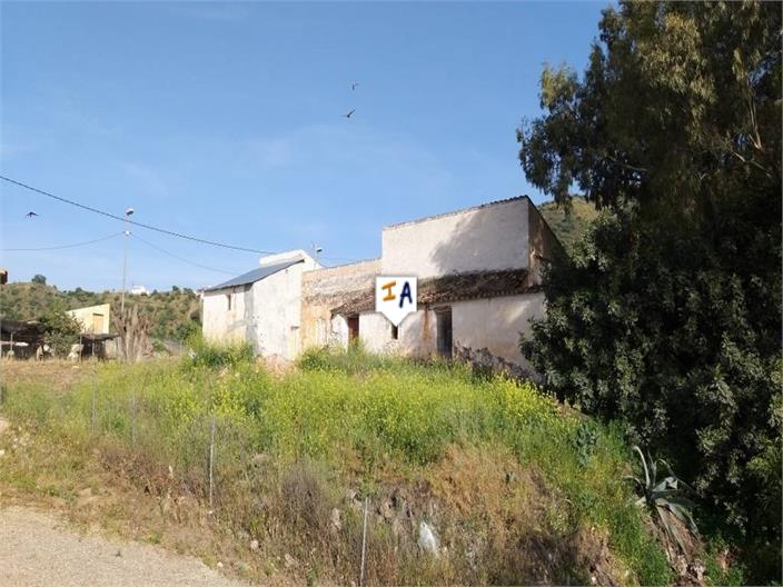 Image No.8-Terre à vendre à Comares