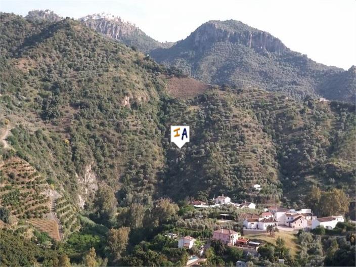 Image No.9-Terre à vendre à Comares