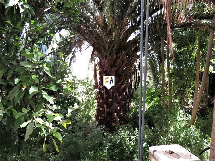 Image No.3-Maison de 6 chambres à vendre à Alcaudete