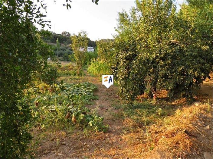 Image No.4-Ferme de 3 chambres à vendre à Fuensanta de Martos