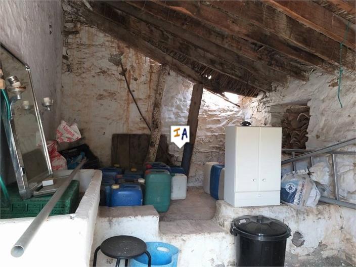 Image No.6-Ferme de 3 chambres à vendre à Canillas de Aceituno