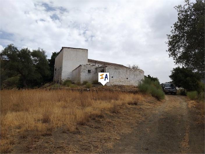 Image No.8-Ferme de 3 chambres à vendre à Canillas de Aceituno
