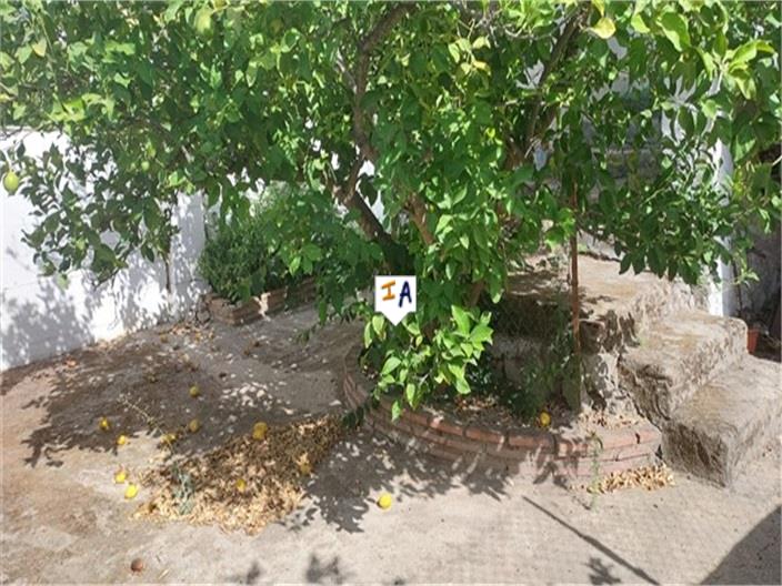 Image No.3-Maison de 4 chambres à vendre à Carcabuey