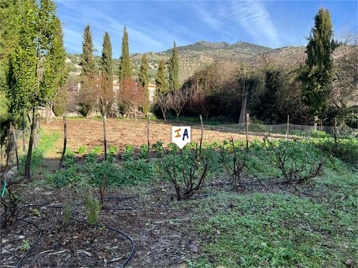 Image No.4-4 Bed Farmhouse for sale