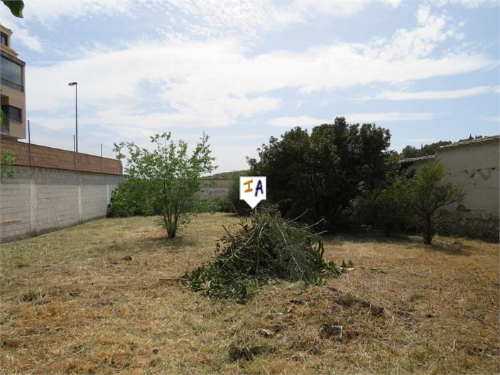 Image No.6-Maison de 5 chambres à vendre à Alcaudete