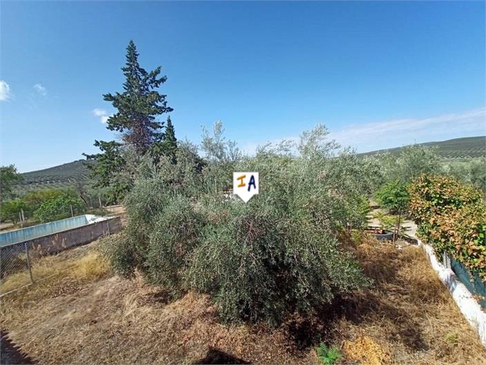 Image No.4-Ferme de 2 chambres à vendre à Cabra