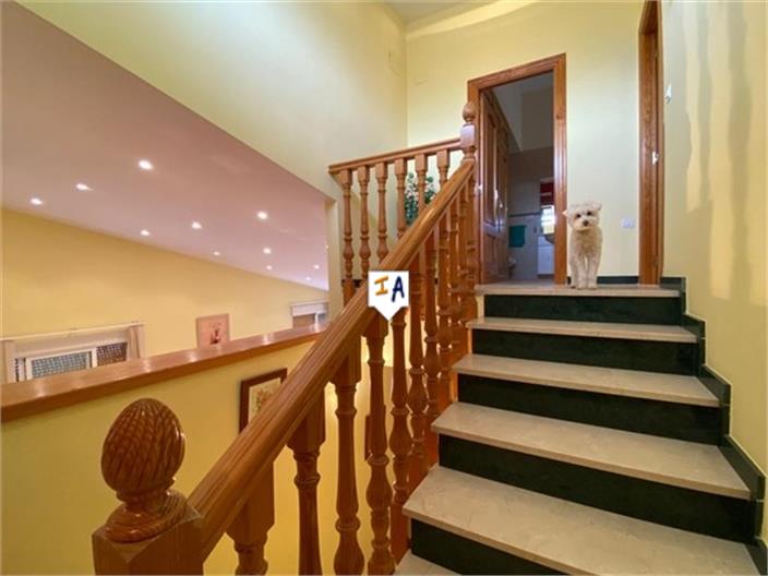 Image No.8-Maison de 5 chambres à vendre à Íllora