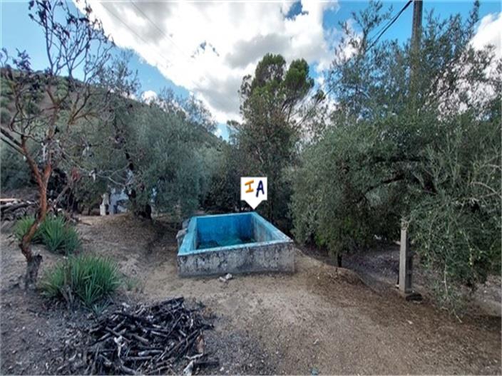 Image No.5-4 Bed Farmhouse for sale