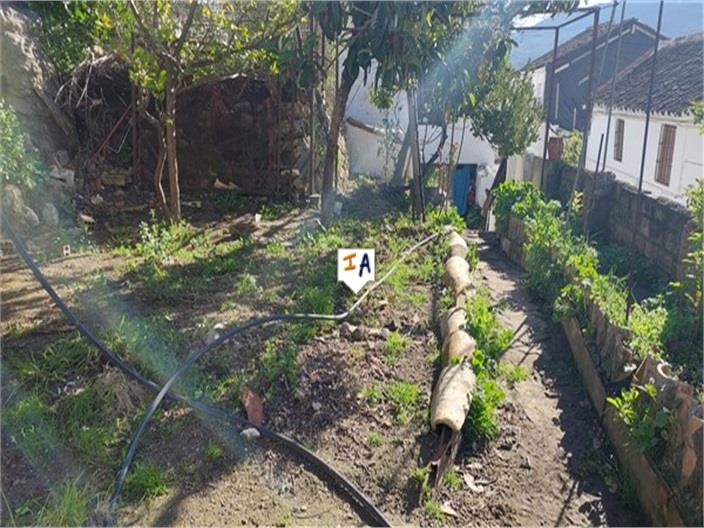 Image No.4-Maison de 4 chambres à vendre à Carcabuey