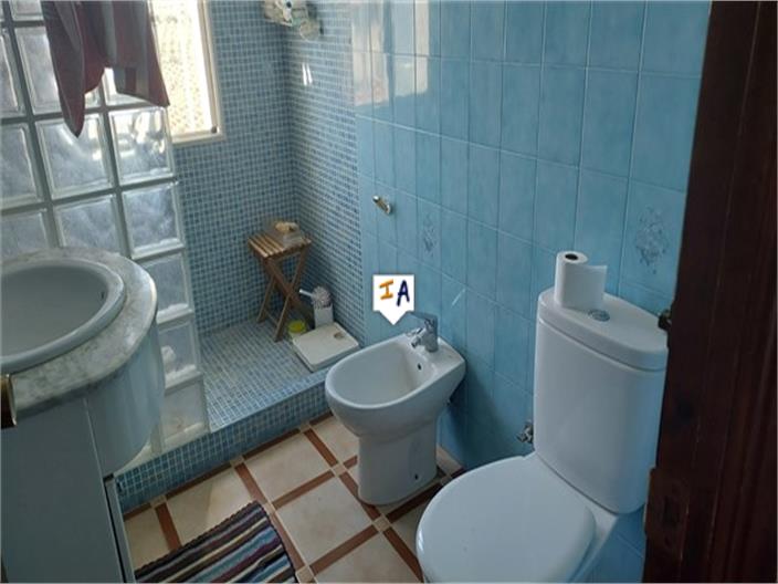 Image No.11-Ferme de 4 chambres à vendre à Ermita Nueva