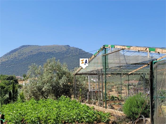 Image No.3-4 Bed Villa for sale