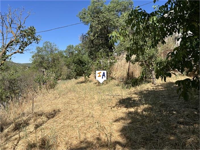 Image No.6-Ferme de 4 chambres à vendre à Alcalá la Real