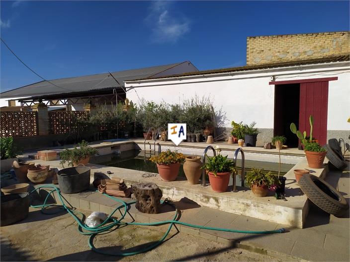 Image No.4-House for sale