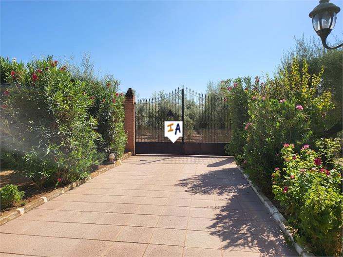 Image No.5-3 Bed Villa for sale